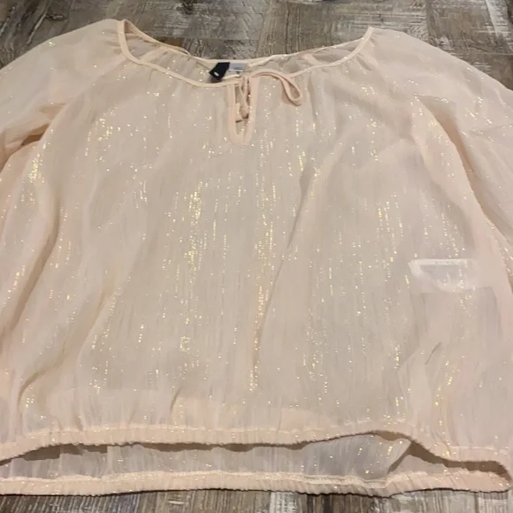 Sheer top - Picture 3 of 3